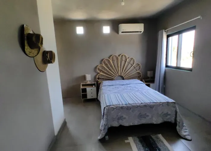 Paraiso Rustico En San Jose Del Cabo