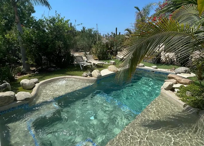 Tropical Oasis