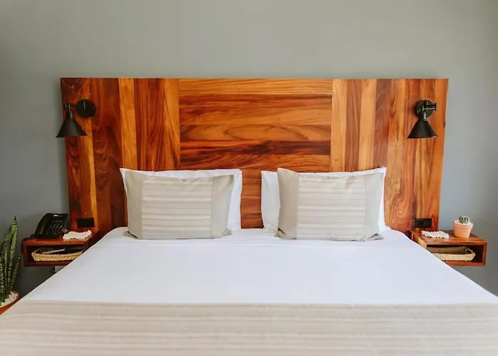 Gorgeous King Room Exclusive Boutique Hotel Cabo