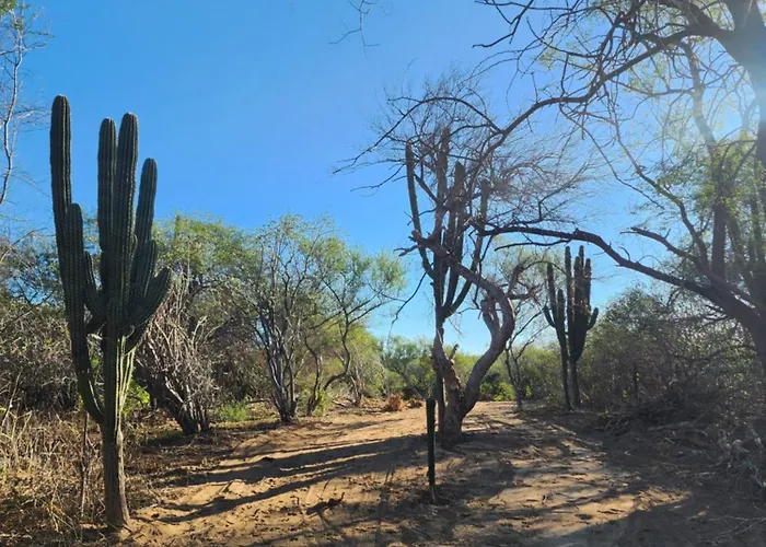 Casa Rancho