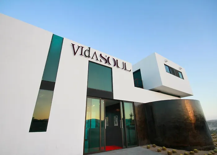 Vidasoul